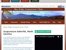 Tablet Screenshot of blueridgeclinic.com